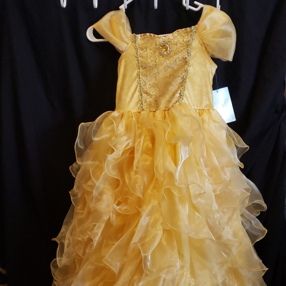 Disney princess costume
